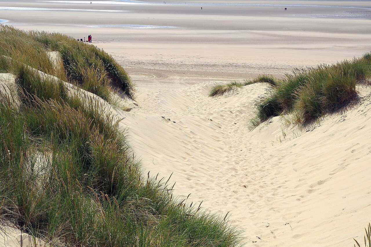 Camber Sands